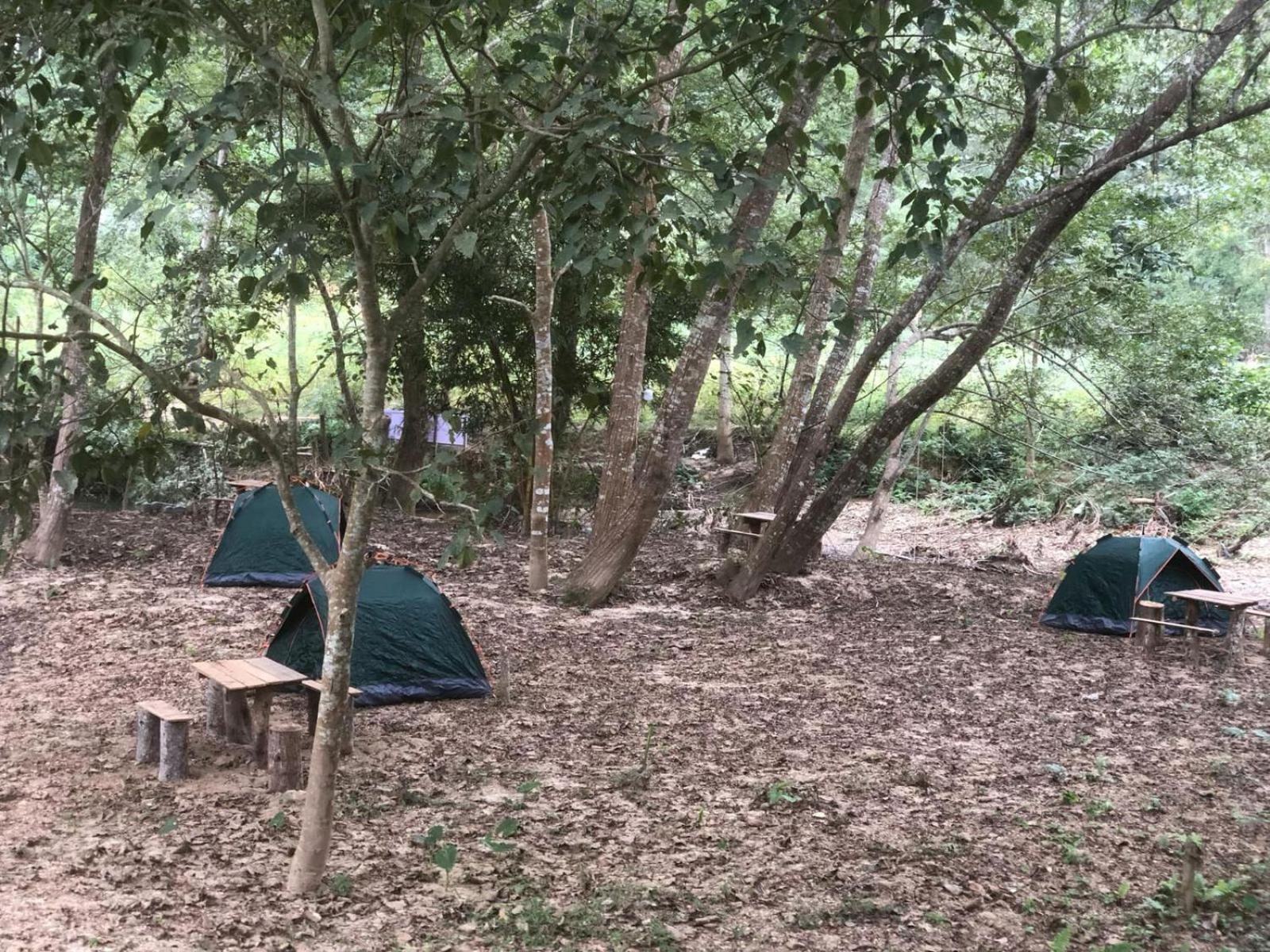 Mingkhuan Eco Homestay Nongkhiaw Eksteriør bilde